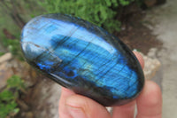 Polished Labradorite Palm Stones x 12 From Tulear, Madagascar