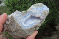 Natural Blue Lace Agate Geode Specimens x 6 From Malawi