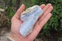 Natural Blue Lace Agate Geode Specimens x 6 From Malawi