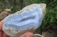 Natural Blue Lace Agate Geode Specimens x 6 From Malawi