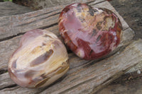 Polished Red Podocarpus Petrified Wood Hearts x 2 From Madagascar