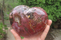 Polished Red Podocarpus Petrified Wood Hearts x 2 From Madagascar