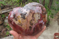 Polished Red Podocarpus Petrified Wood Hearts x 2 From Madagascar