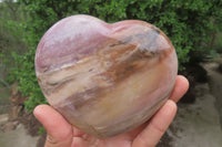 Polished Red Podocarpus Petrified Wood Hearts x 2 From Madagascar