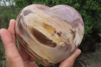 Polished Red Podocarpus Petrified Wood Hearts x 2 From Madagascar