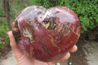 Polished Red Podocarpus Petrified Wood Hearts x 2 From Madagascar