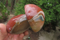 Polished Polychrome Jasper Mushrooms x 6 From Madagascar