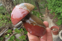 Polished Polychrome Jasper Mushrooms x 6 From Madagascar