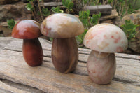 Polished Polychrome Jasper Mushrooms x 6 From Madagascar