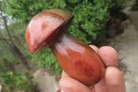 Polished Polychrome Jasper Mushrooms x 6 From Madagascar