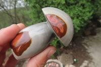 Polished Polychrome Jasper Mushrooms x 6 From Madagascar