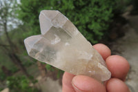 Natural Smokey Quartz Crystals x 35 From Zimbabwe