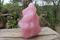 Polished Rose Quartz Flame Sculpture x 1 From Madagascar