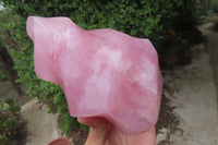 Polished Rose Quartz Flame Sculpture x 1 From Madagascar