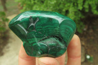 Polished Flower Banded Malachite Free Forms x 12 From Congo