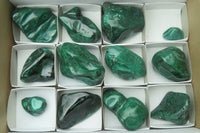 Polished Flower Banded Malachite Free Forms x 12 From Congo