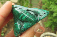 Polished Flower Banded Malachite Free Forms x 12 From Congo