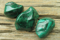 Polished Flower Banded Malachite Free Forms x 12 From Congo