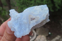 Natural Etched Blue Chalcedony Specimens x 35 From Nsanje, Malawi