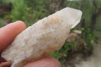 Natural Pineapple Candle Quartz Crystals x 35 From Antsirabe, Madagascar