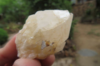 Natural Pineapple Candle Quartz Crystals x 35 From Antsirabe, Madagascar