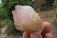 Natural Pineapple Candle Quartz Crystals x 35 From Antsirabe, Madagascar