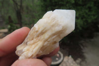 Natural Pineapple Candle Quartz Crystals x 35 From Antsirabe, Madagascar