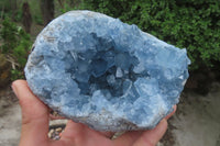 Natural Blue Celestite Specimens x 2 From Sakoany, Madagascar