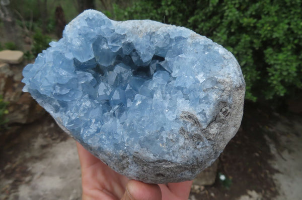 Natural Blue Celestite Specimens x 2 From Sakoany, Madagascar