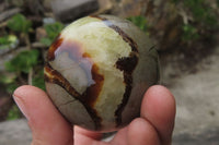 Polished Septerye Spheres x 6 From Mahajanga, Madagascar