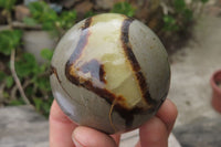 Polished Septerye Spheres x 6 From Mahajanga, Madagascar