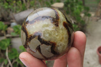 Polished Septerye Spheres x 6 From Mahajanga, Madagascar