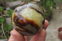 Polished Septerye Spheres x 6 From Mahajanga, Madagascar