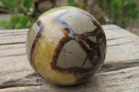 Polished Septerye Spheres x 6 From Mahajanga, Madagascar