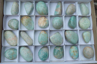 Polished Amazonite Palm Stones x 24 from Zimbabwe