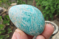 Polished Amazonite Palm Stones x 24 from Zimbabwe