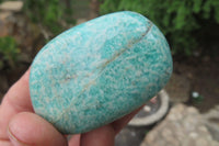 Polished Amazonite Palm Stones x 24 from Zimbabwe