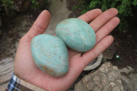 Polished Amazonite Palm Stones x 24 from Zimbabwe