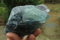 Natural Watermelon Fluorite Cobbed Specimens x 6 From Uis, Namibia