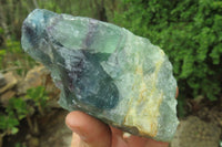 Natural Watermelon Fluorite Cobbed Specimens x 6 From Uis, Namibia