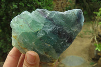 Natural Watermelon Fluorite Cobbed Specimens x 6 From Uis, Namibia