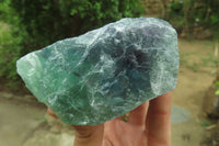 Natural Watermelon Fluorite Cobbed Specimens x 6 From Uis, Namibia