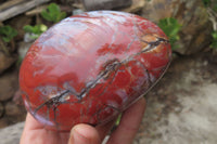 Polished Red Jasper Standing Free Forms x 3 From Madagascar