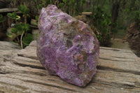 Natural Stichtite Specimen x 1 From Barberton, South Africa