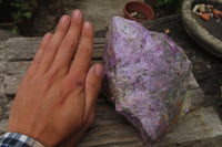 Natural Stichtite Specimen x 1 From Barberton, South Africa