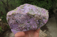 Natural Stichtite Specimen x 1 From Barberton, South Africa