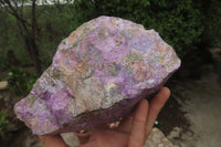 Natural Stichtite Specimen x 1 From Barberton, South Africa