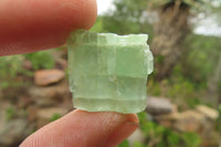 Natural Mixed Aquamarine Specimens x 106 From Angola