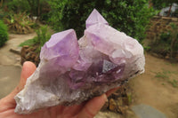 Natural Jacaranda Amethyst Quartz Clusters x 3 from Mumbwa, Zambia