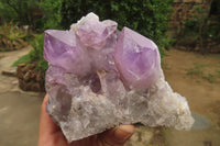 Natural Jacaranda Amethyst Quartz Clusters x 3 from Mumbwa, Zambia